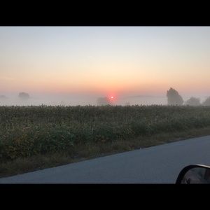 Meet your Posher, Janice